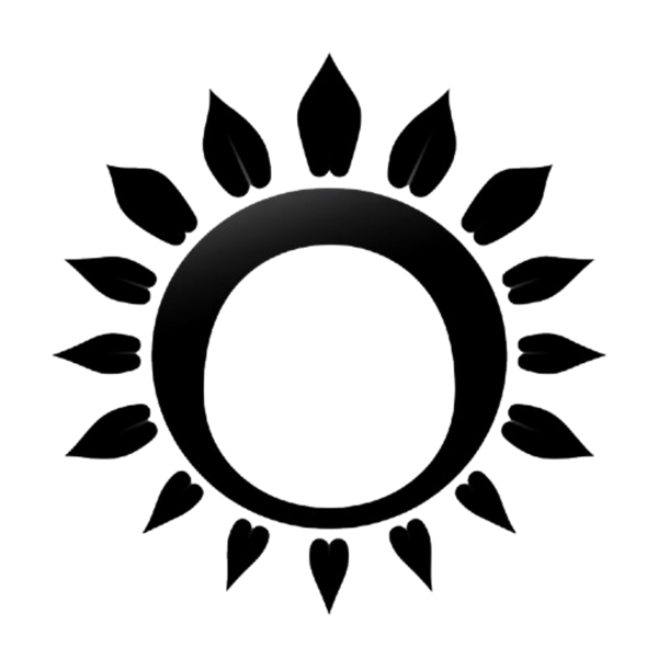 BLACK SUN Electronics